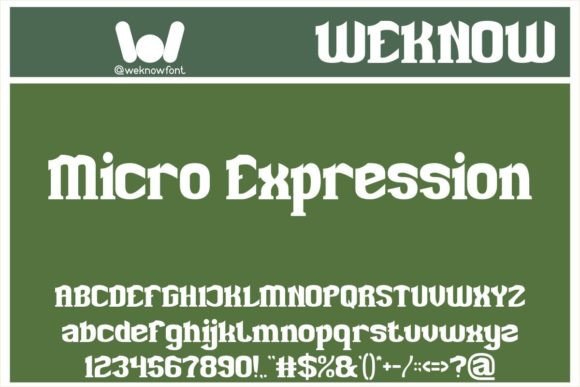 Micro Expression: A Playful Serif Font for Modern Web Design
